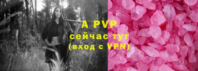 закладки  Нерчинск  Alfa_PVP СК 