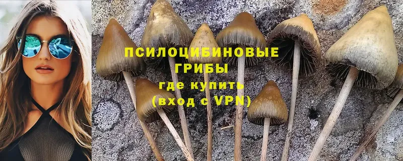 Псилоцибиновые грибы Magic Shrooms  Нерчинск 